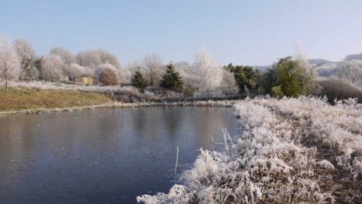 winter op lotussy